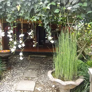 Anom Holiday park Ubud (Bali)