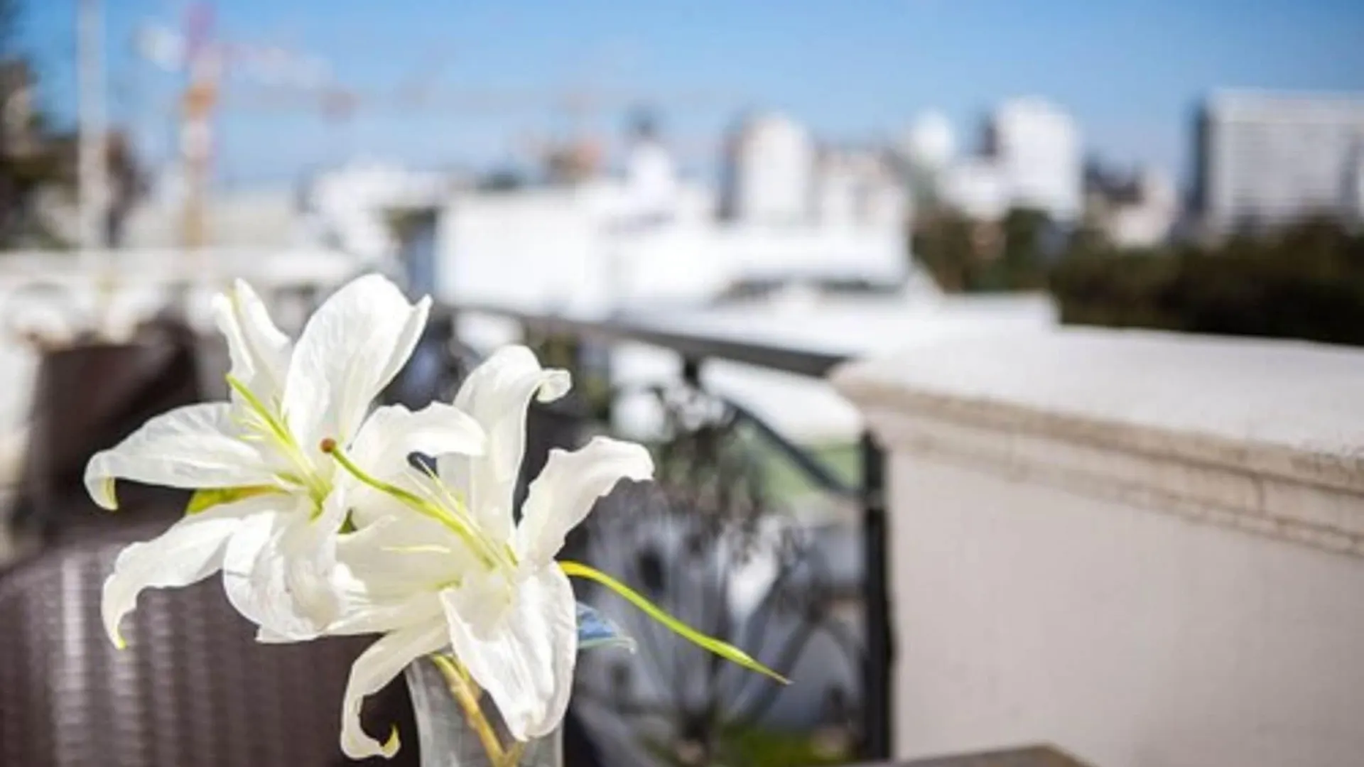 Hotel Particulier Le Doge - Relais & Chateaux Casablanca